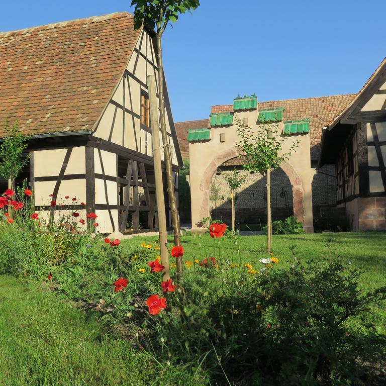 Gite D'Audrey Et Jean Uttenheim Esterno foto