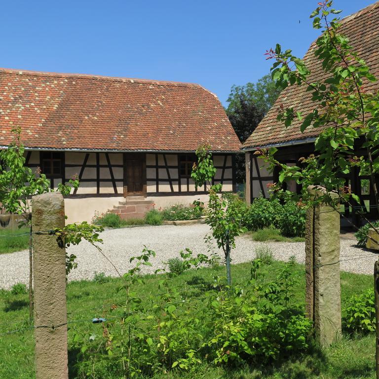 Gite D'Audrey Et Jean Uttenheim Esterno foto